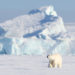В Арктике продают участок земли за 300 млн евро. Купит Россия?